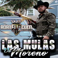 Las Mulas de Moreno - Adan Cuen Y Su Plebada