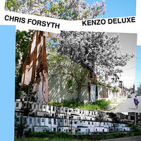 Downs & Ups - Chris Forsyth
