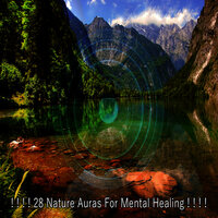 Поднятый природой - Nature Sounds Artists