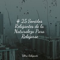 Sonidos Calmantes - Unidad de música zen relajante & Musica Para Dormir & meditación Interna