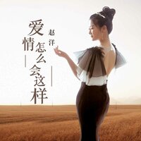 爱情怎么会这样 - 赵洋