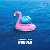 Wonder - Temporary Hero & Bad Space Monkey