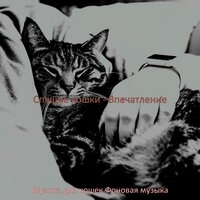 Атмосфера (Настроения) - Музыка для кошек Фоновая музыка