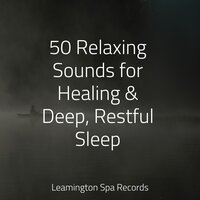 Love and Tranquil - Relaxing Sleep Sound & Raindrops Sleep & Pure Serenity Spa Music & Massage Collective Garden & Zen Relaxation Meditation