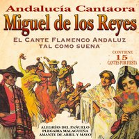 No Vuelvas Mas - Miguel De Los Reyes
