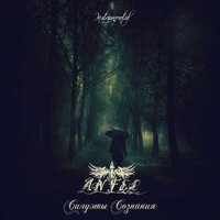 И Ты Делаешь Шаг В Темноту - ANFEL