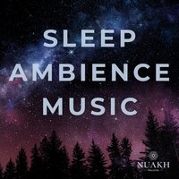 Melatonin Moonbeam Meditation - Deep Sleep Remedy