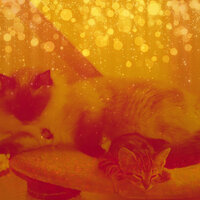 Wicked Ambiance for Stressed Kittens - Relaxing Music for Cats
