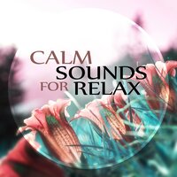 Chillout Music (Relax) - Oasis of Relaxation