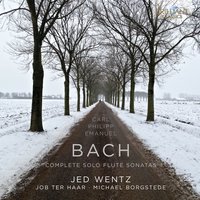 Sonata in G Major, Wq. 134: II. Allegro - Jed Wentz & Карл Филипп Эммануил Бах