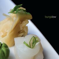 Lafayette St., Pt. 2 - Bungalow