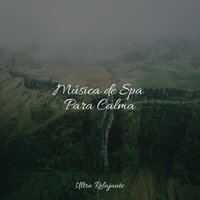 Bienvenida A La Primavera - Musica Relajante Para Estudiar & Sons da Natureza & Meditación Guiada