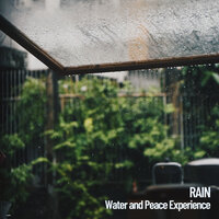 Storm Relaxation - Spa Music & Deep Sleep Music Experience & Music for Sleep