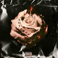 Not Okay - Proxie