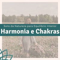 Relax - Arthur Dinís Harmonia