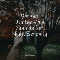 Rain, Evening, Leaves - Monarch Baby Lullaby Institute & Sampling XL & Sleep Tight