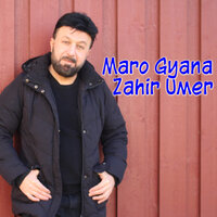 Daloy Looy - Zahir Umer
