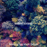 Wicked Ambience for Vipassana Meditation - Relaxing Spa Music Deluxe