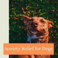 Ultimate Sleep System - Soothing Music for Dogs