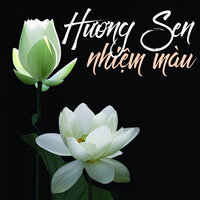 Sám hối mười phương - Lan Anh