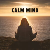 Internal Awakening - Relieve Stress Music Academy