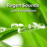 Positive Energie im Frühling - Regengeräusche & Regen zum Schlafen & Naturgeräusche