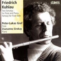 Grande Sonate Concertante In A Minor Op.85; Allegro Con Passione - Peter-Lukas Graf