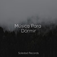 Paseo Diario - Música Instrumental Maestro & Canciones de Cuna para Bebés Acadèmico & El hada de las canciones de cuna