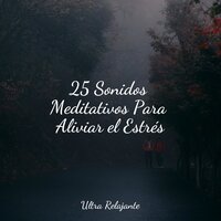 Descansando - Relajante Academia de Música Zen & meditación Interna & Piano Relajante