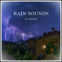 Rain Sounds at Night, Pt. 40 - Rain Sounds & Nature Sounds & Forest Sounds