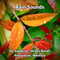 Rain Sounds for Sleeping and Stress Relief Pt. 48 - Nature Sounds & Rain Sounds & Regengeräusche
