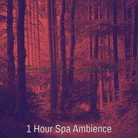 Tremendous Moods for Wellness Treatments - 1 Hour Spa Ambience