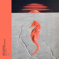 Knot - Need for Mirrors & Drs