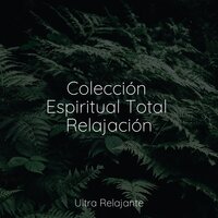 Susurro De Hojas De Primavera - Relajantes sonidos de lluvia & Sons da Natureza Relax & Musica Para Meditar y Relajarse
