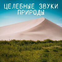 Проявление изобилия - Академия Глубокой Релаксации