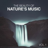 Nocturnal Wasteland Sounds 1: Crickets, Grasshoppers and Owls - Bruits Naturel