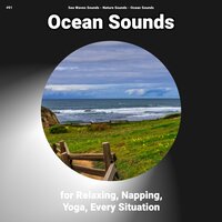 Ocean Sounds for Relaxing and Napping Pt. 16 - Nature Sounds & Ocean Sounds & Sea Waves Sounds