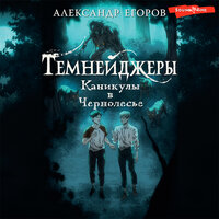 Александр Егоров. «Темнейджеры. Каникулы в Чернолесье». Часть 10 - Дмитрий Ермаков