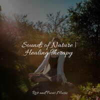 Dunes of Dreaming - Especialistas de Musica para Dormir & Musica Para Dormir y Sonidos de la Naturaleza & Music For Absolute Sleep
