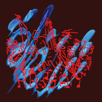 Mawgood - Hassan Abou Alam & Joaquin Cornejo