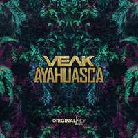 Jungleheadz - Veak