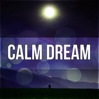 Music to Calm Down (New Age Music) - Sleep & Dream Academy