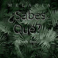 ¿Sabes Qué? - Melania Pacheco & Charly Bless