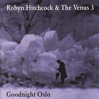 Your Head Here - Robyn Hitchcock & The Venus 3