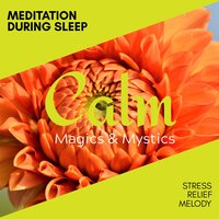 Spread the Divinity - Relaxing Minds