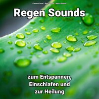 Naturgeräusche - Clemens Gesel & Rain Sounds & Nature Sounds
