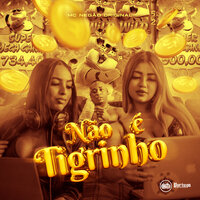 Não É Tigrinho - MC Negão Original & Dj faveliano