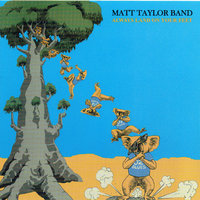 Always Land on Your Feet - Matt Taylor & Matt Taylor Band