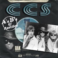 Mister What You Can't Have I Can Get - C.C.S.