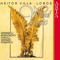 Quatuor For Grande Flute, Oboe, Clarinet & Bassoon: Allegro Molto Vivace (Villa-Lobos) - Andrea Griminelli & Pietro Borgonovo & Rino Vernizzi & Michele Carulli & Эйтор Вилла-Лобос